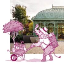 garten & genussmarkt